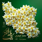 دانلود آهنگ یک پله بالاتر محمد کوهرخی